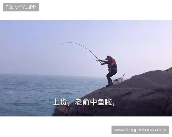 博鱼体育综合平台全面解析：提供多元化体育赛事直播与专业分析服务